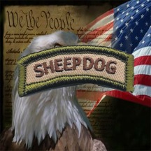 sheepdog tab